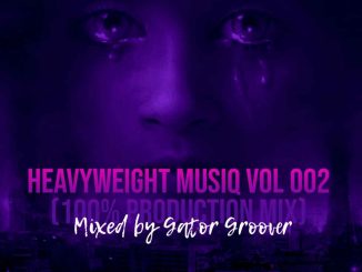 Download Mp3 Gator Groover – Heavyweight MuisQ Vol 002