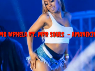 Download Mp3 Mfr Souls – AmaNikiNiki Ft. Kamo Mphelaxx