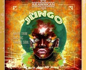 Download Mp3 Native Tribe, Da Q-Bic & Thab De Soul – Jungo (Original Mix)