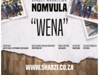 Download Mp3 ShabZi Madallion – Wena