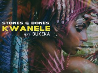 Download Mp3 Stones & Bones – Kwanele (Original Mix) Ft. Bukeka