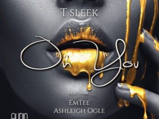Download Mp3 T Sleek – On You Ft. Emtee & Ashleigh Ogle