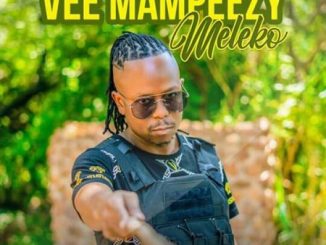 Download Mp3 Vee Mampeezy – Meleko (Prod by Dr Tawanda)