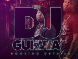 Download Mp3 Dj Gukwa – The Offset Mixtape