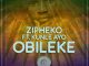 ZiPheko Ft. Kunle Ayo – Obileke Fakaza 2020 Mp3 Download