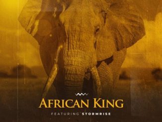 Download Mp3: 2point1 – African King Ft. StormRise