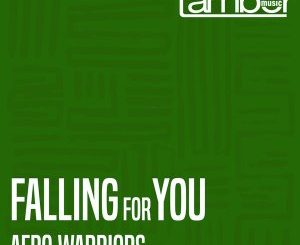 Download Mp3: Afro Warriors – Falling For You (Original Vocal)