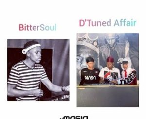 Download Mp3: BitterSoul & D’Tuned Affair – Never Again