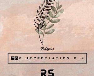 Download Mp3: Buddynice – 26K Appreciation Mix (Redemial Sounds)