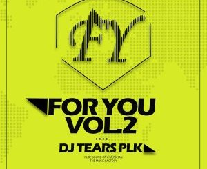 Download Mp3 DJ Tears PLK – For You Vol​.​2