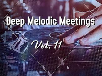 FSD – Deep Melodic Meetings Vol. 11