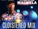 Download Mp3: Insane Malwela – Cloistered Mix