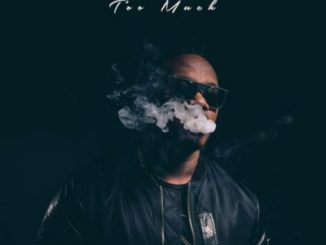 Download Mp3: KLY – Too Much Ft. Riky Rick