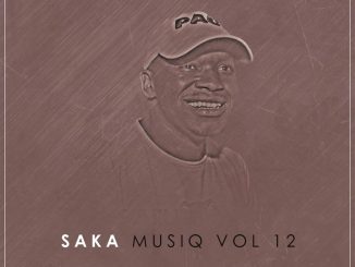 Download Mp3: Master Jay – SaKa MusiQ Vol 12
