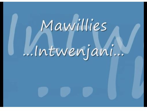 Mawillies - Intwenjani