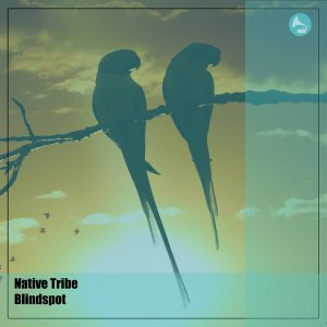 Download Mp3: Native Tribe – Blindspot