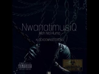 Download Mp3: NwanatiMusiQ – Vigro Deep Style