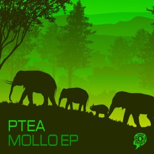 EP: PTea – Mollo