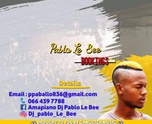 Download Mp3: Pablo Le Bee – Nko NKo Nko Thebelebe (Christian BassMachine)