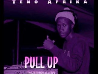 Teno Afrika - Pull Up (Tribute To Mdu a.k.a TRP)