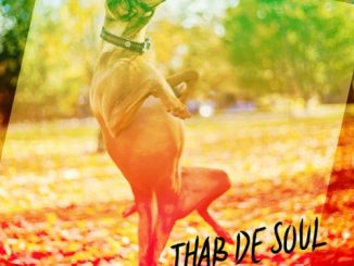 Thab De Soul – Izinja (Original Mix)