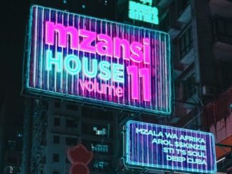 Album: Various Artists – House Afrika Presents Mzansi House Vol. 11