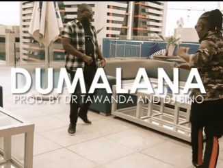 Vee Mampeezy - Dumalana Ft. Dr Tawanda