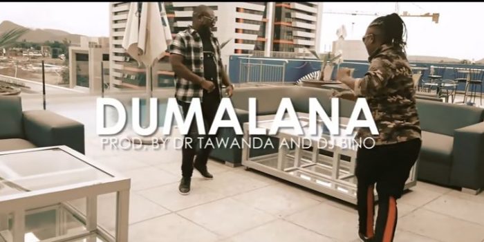 Vee Mampeezy - Dumalana Ft. Dr Tawanda