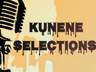 WayneEleven – Kunene Selections Vol. 1 Mix