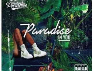 ALBUM: Palm Tree Paradise – Paradise In You