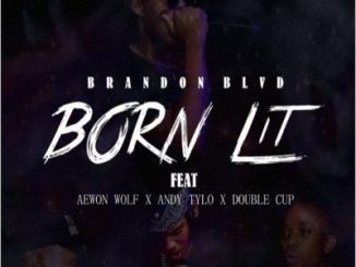 Brandon BLVD – Born Lit
