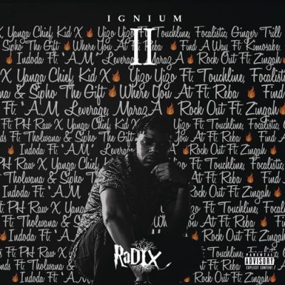 EP: DJ Radix – IGNIUM II