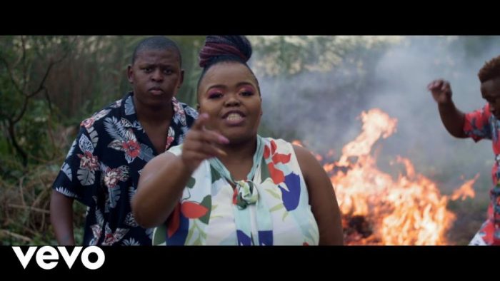 Video: Distruction Boyz - Ubumnandi Ft. DJ Tira, Dladla Mshunqisi & Feerless Boyz