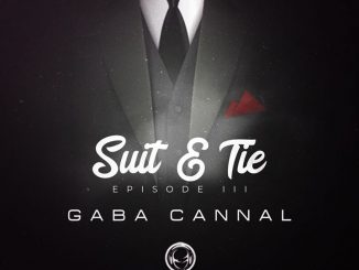Big Sky & LuuDeDeejay Fire (Gaba Cannal Suit & Tie Mix)