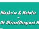Hlesko’w & Melotic – Cry Of Africa (Original Mix)