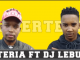 Luxerteria – Ditshele Ft. DJ Leburu