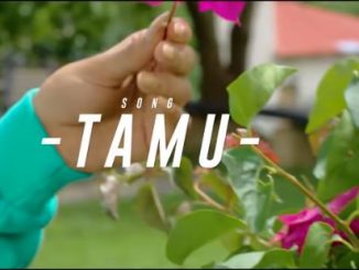 Mbosso - Tamu Mp3 Download