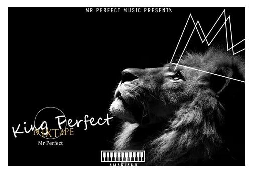 Mr Perfect Ft. DJ KS – Jaiva Low (Revisit)