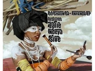 Ndeya Wezinto & Dj Shaun SA – Game Over Fakaza Mp3 Download