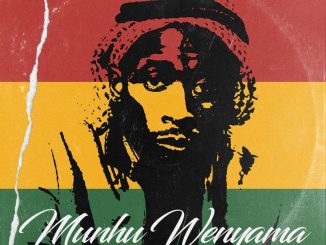 Poptain – Munhu Wenyama