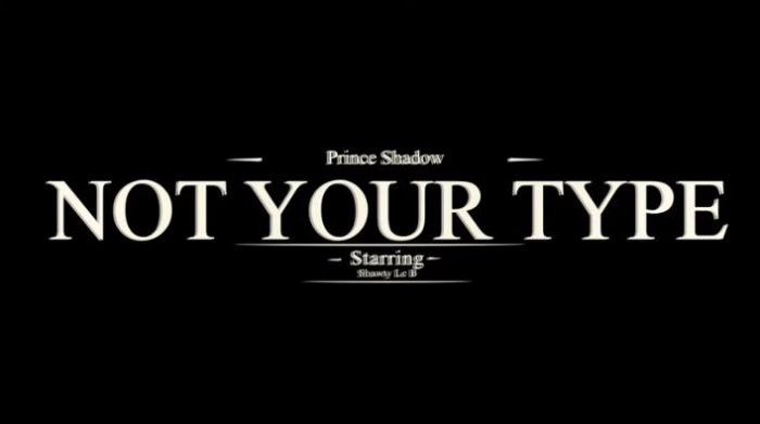 Prince Shadow - Not Your Type Ft. Lynxbwoibeatz, Great 7urnace