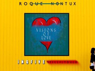 Roque & Nontu X – Visions Of Love (InQfive Special Touch)