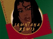 Stepdaddy – Lomntana (Remix) Ft. Zingah & Focalistic