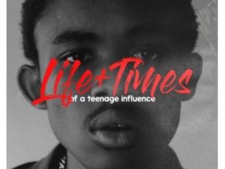 The Big Hash – Life + Times Of A Teenage Influence Fakaza Zip Download