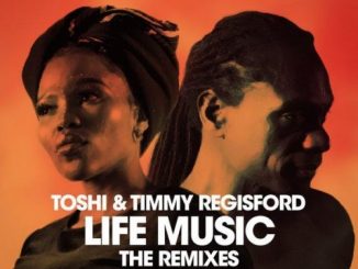 Toshi & Timmy Regisford – Singawonga (Remix)