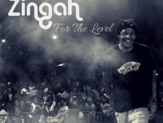 EP: Zingah – For The Level