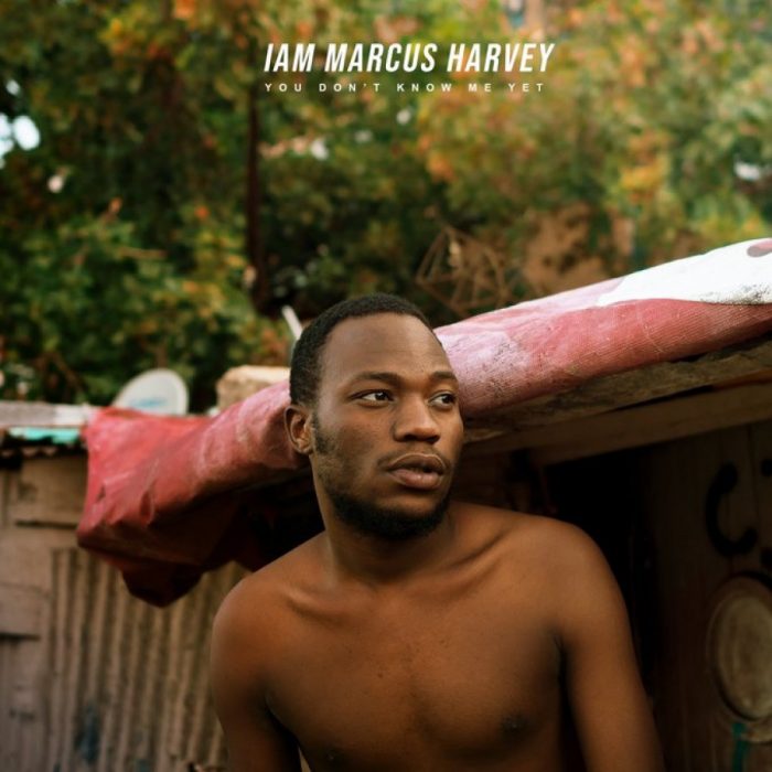 Album: Marcus Harvey – I Am Marcus Harvey