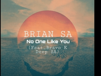 BRIAN SA – No One Like You Ft. Bravo K Deep SA