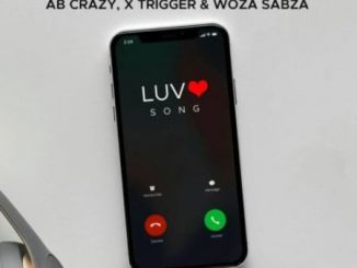 Bhizer – Luv Song Ft. Ab Crazy, Trigger & Woza Sabza