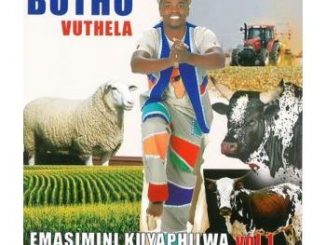Butho Vuthela – Emasimini Kuyaphilwa, Vol. 1